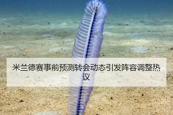 mi-lan-de-sai-shi-qian-yu-ce-zhuan-hui-dong-tai-yin-fa-zhen-rong-tiao-zheng-re-yi-2-919.jpg